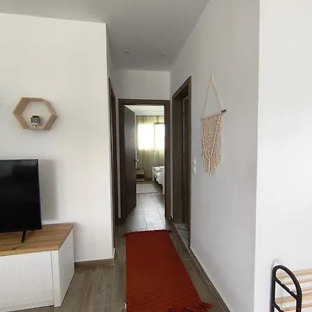 Kiki And Cocos House Daire